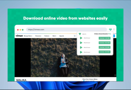 Google Chrome Video Downloader Extensions